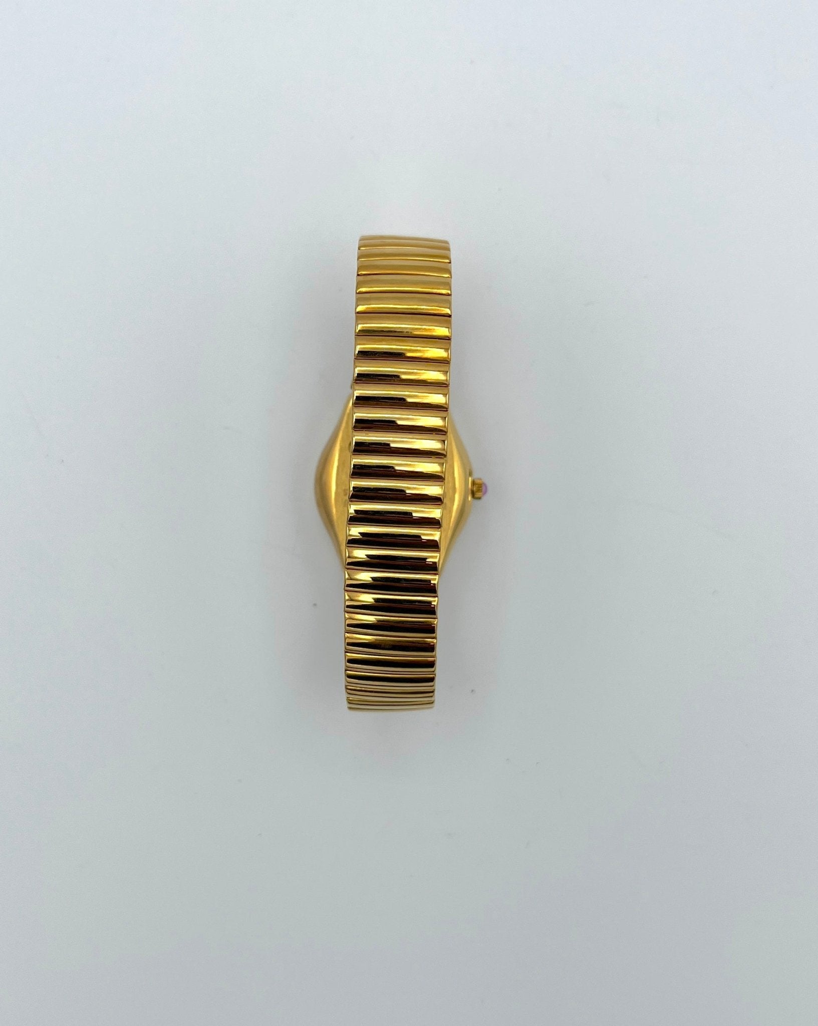 Swatch Irony Lady Lady FAUNA YSG102B (1998)